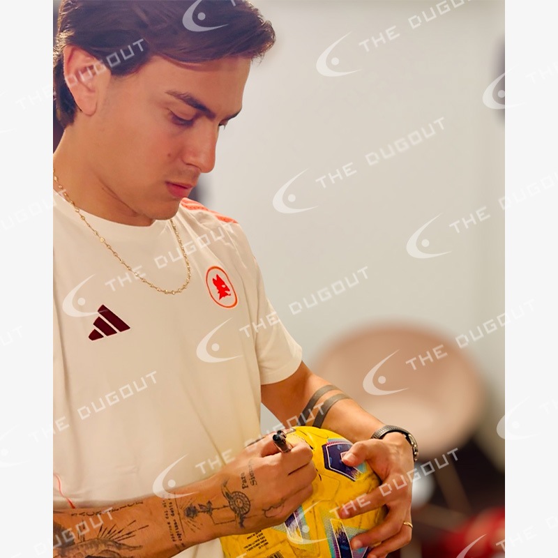 �ǥ��Х�ľɮ����������»���24/25���ꥨA�ޥå��ܡ���(��������)