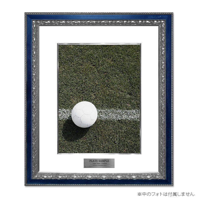 �ե��ȥե졼�� (�ǥ���ƥ��֥���С���)