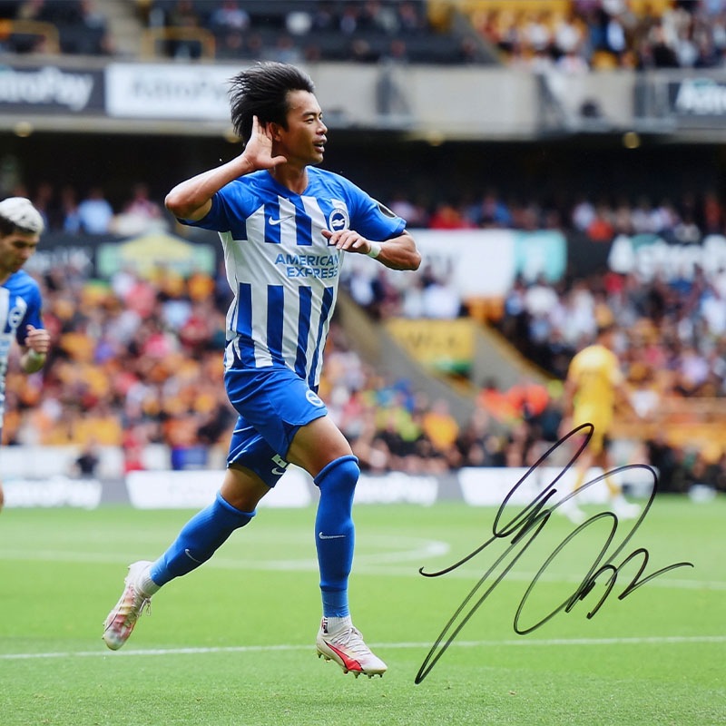 ������ ľɮ����������֥饤�ȥ�23/24�ե��� (����֥졼�����)