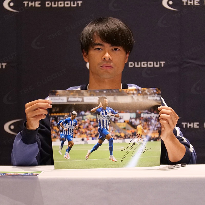 ������ ľɮ����������֥饤�ȥ�23/24�ե��������ե졼�� (����֥졼�����)