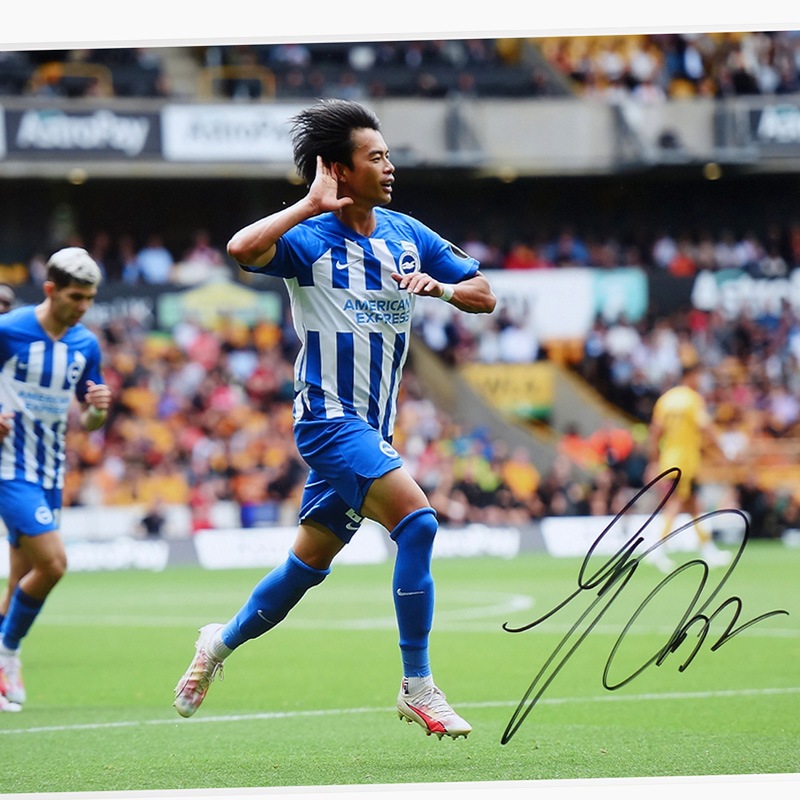 ������ ľɮ����������֥饤�ȥ�23/24�ե��������ե졼�� (����֥졼�����)