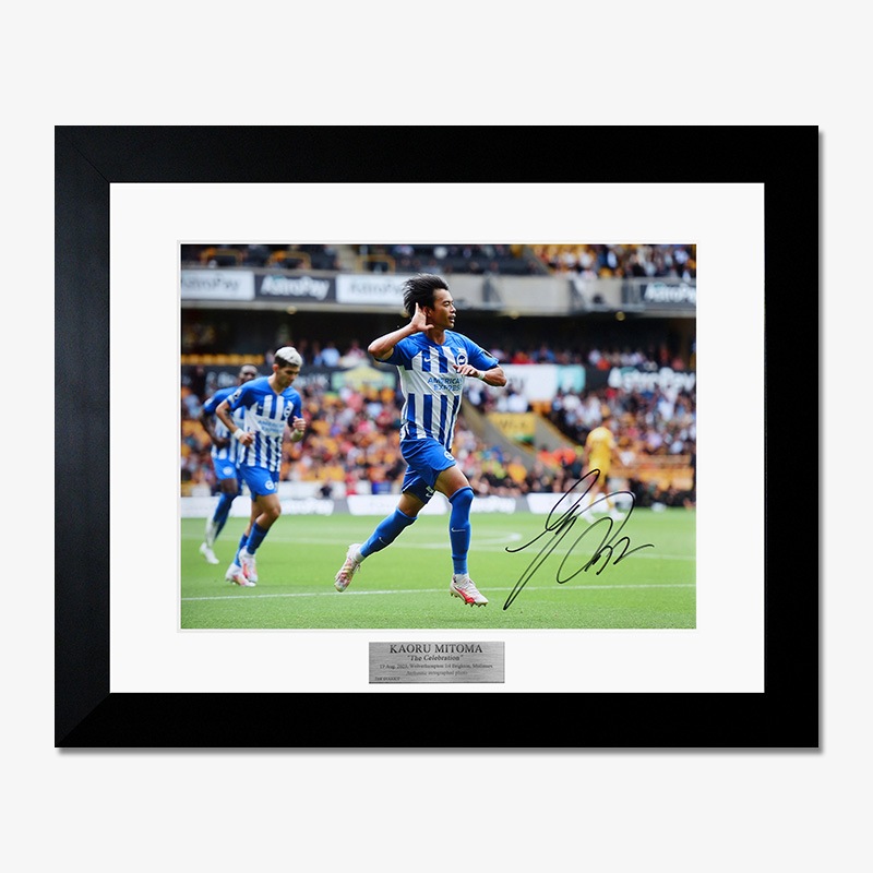 ������ ľɮ����������֥饤�ȥ�23/24�ե��������ե졼�� (����֥졼�����)