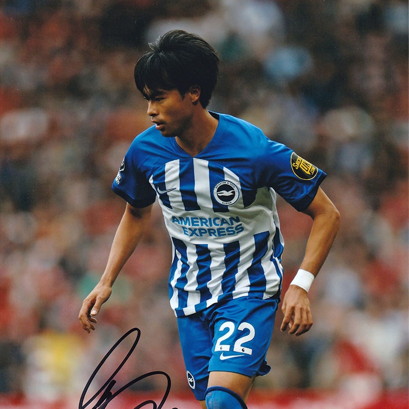 ������ ľɮ����������֥饤�ȥ�23/24�ե��� (A4)