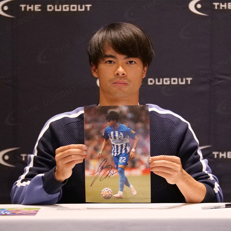 ������ ľɮ����������֥饤�ȥ�23/24�ե��� (A4)