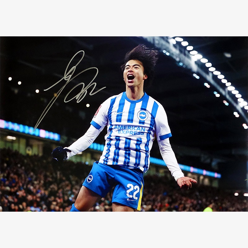 ������ ľɮ����������֥饤�ȥ�24/25�ե��� (����֥졼�����)