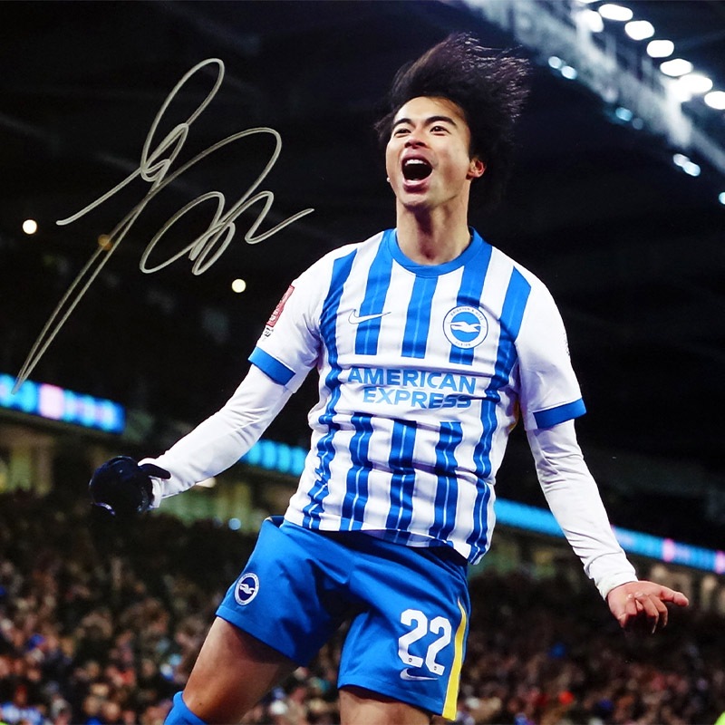 ������ ľɮ����������֥饤�ȥ�24/25�ե��� (����֥졼�����)