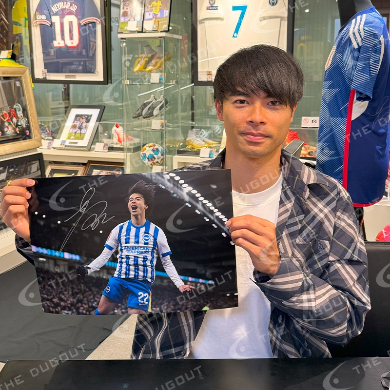 ������ ľɮ����������֥饤�ȥ�24/25�ե��� (����֥졼�����)