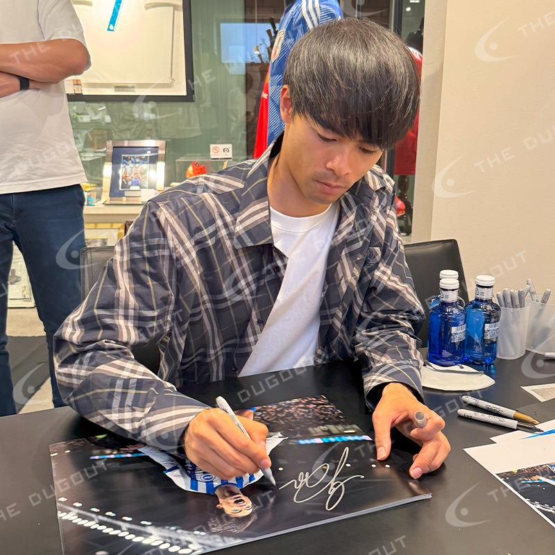 ������ ľɮ����������֥饤�ȥ�24/25�ե��� (����֥졼�����)