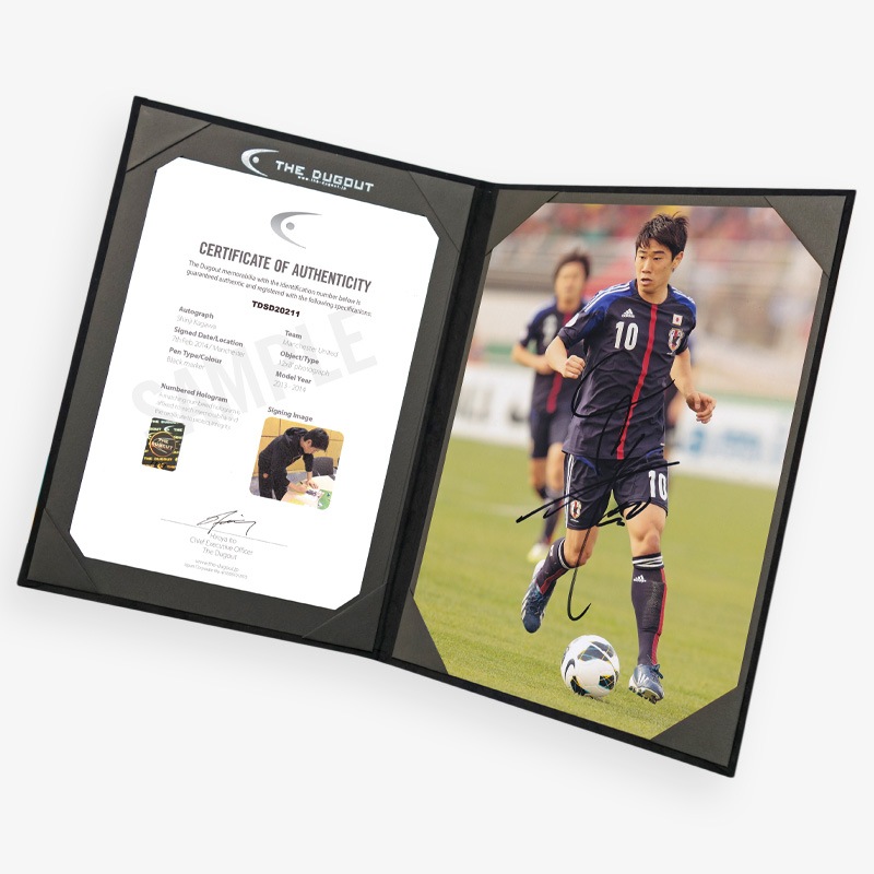 ����� ľɮ����������������ɽ13/14�ե���