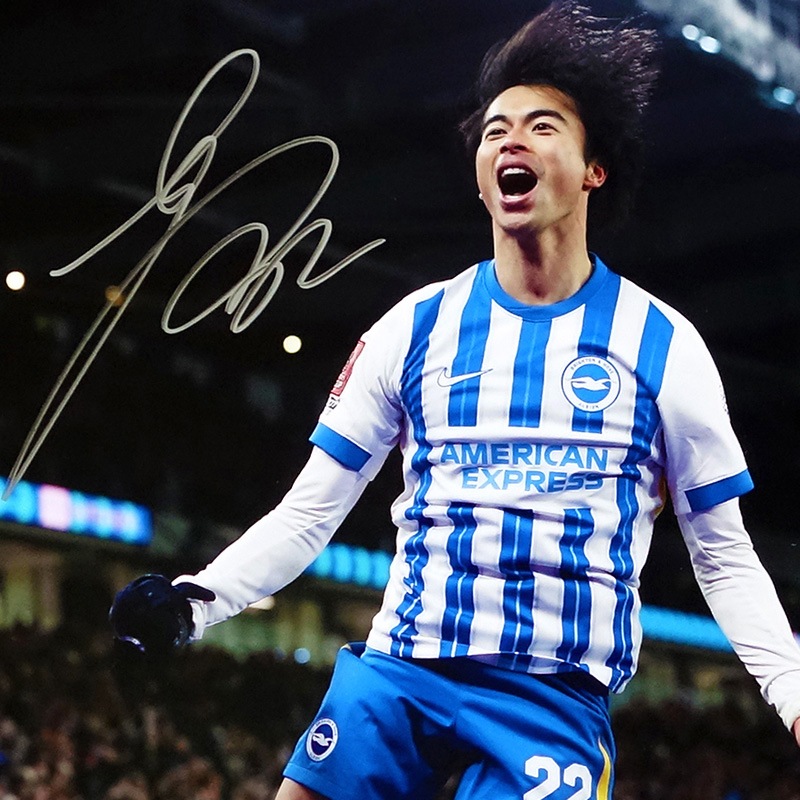 ������ ľɮ����������֥饤�ȥ�24/25�ե��������ե졼�� (����֥졼�����)