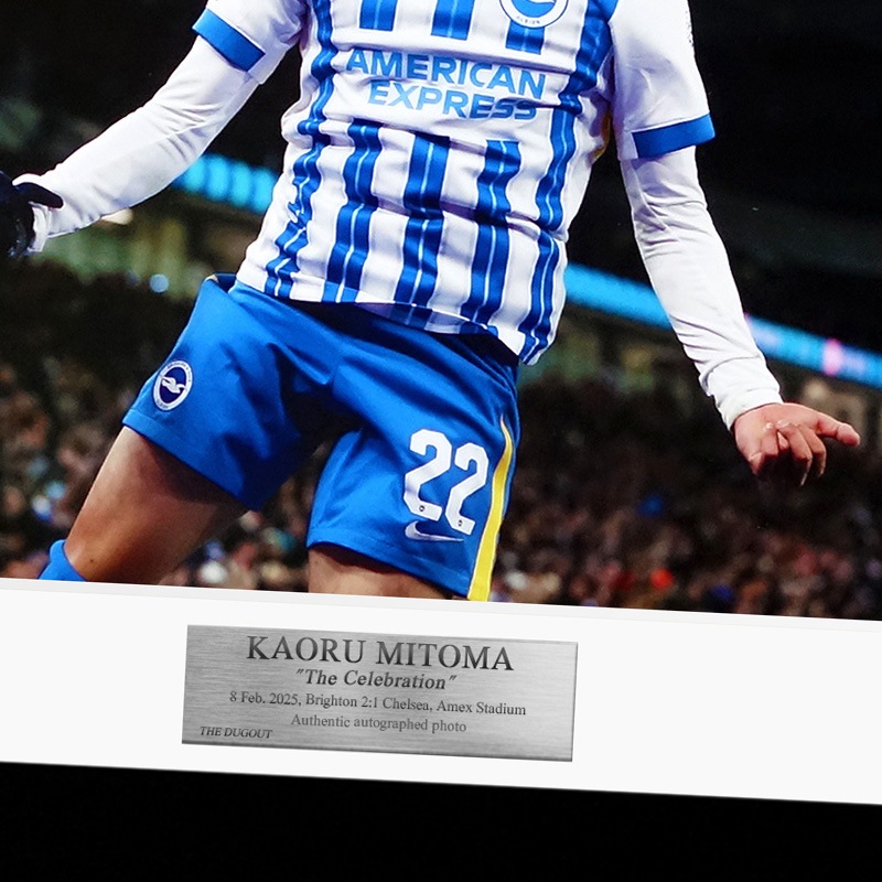 ������ ľɮ����������֥饤�ȥ�24/25�ե��������ե졼�� (����֥졼�����)