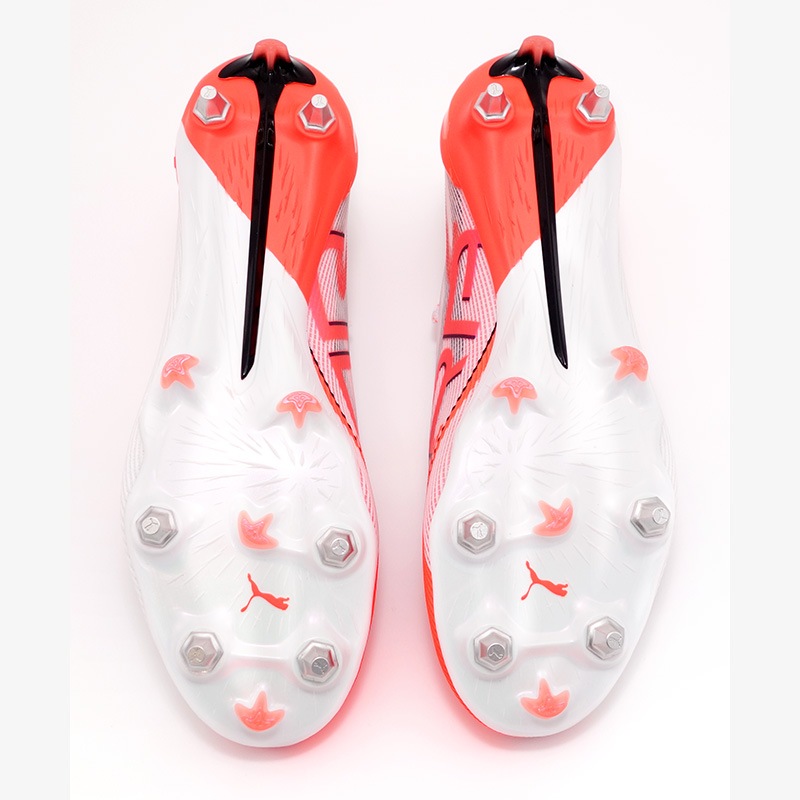 ������ ľɮ����������24/25���ѥ��� (�ס��� ����ȥ�5 ����ƥ���å�)