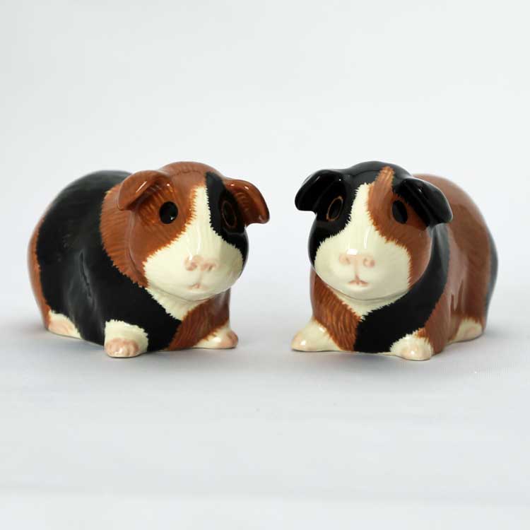 【Quail Ceramics】Guinea Pig (Multi) Salt&Pepper Set