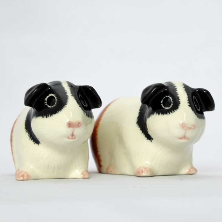 【Quail Ceramics】Guinea Pig (Tri) Salt&Pepper Set