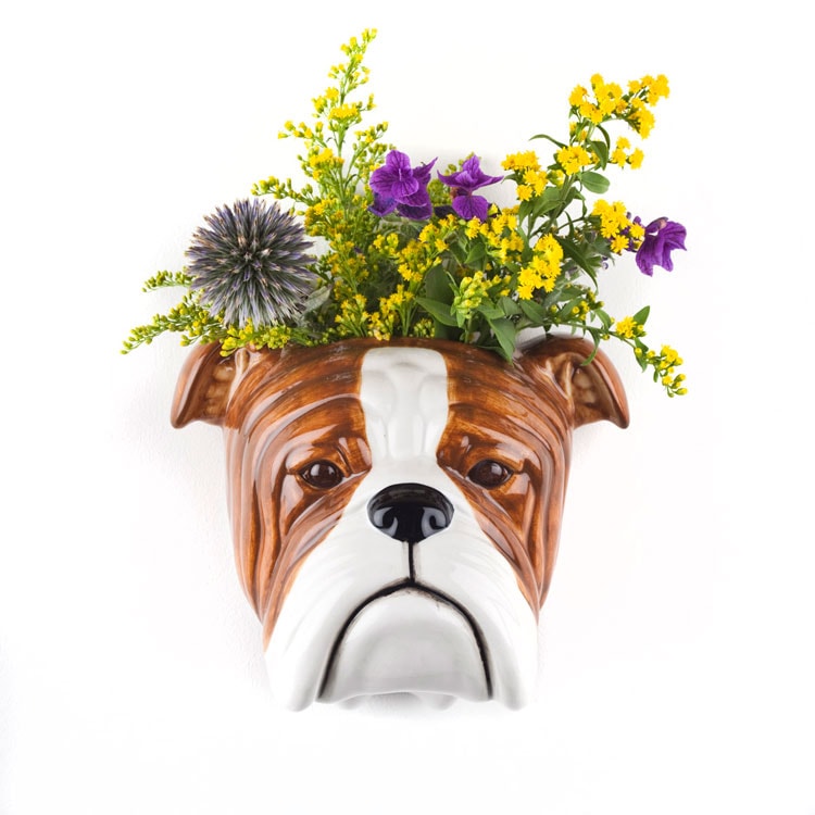 【Quail Ceramics】English Bulldog Wall Vase