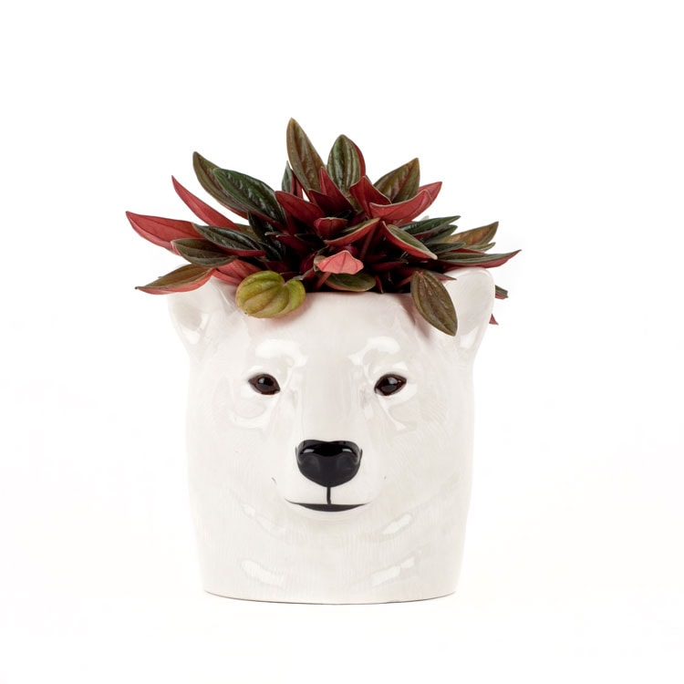 【Quail Ceramics】Polar Bear Pencil Pot