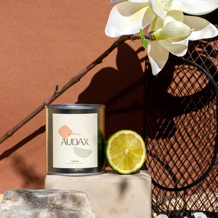 AUDAX -ベチバー＆オーク-