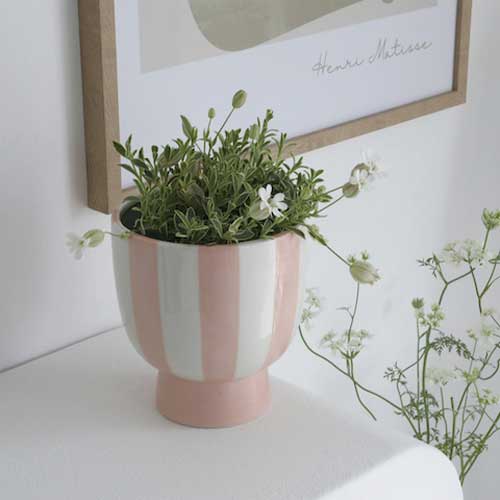 Peach Stripe Flower Pot