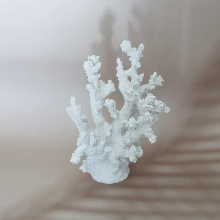 Anemone Coral Resin Sculptur (Type:A)