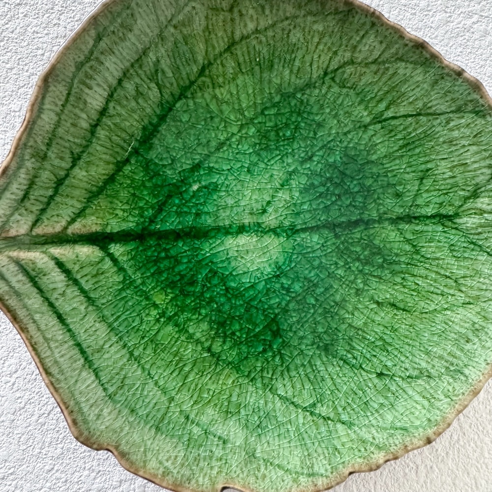 ポルトガル直輸入リーフプレート ｜Costa Nova コスタノバ 小皿 リーフ