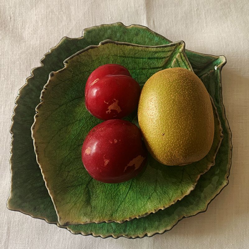 Costa Nova コスタノバ RIVIERA リビエラ ハイドランジアリーフ