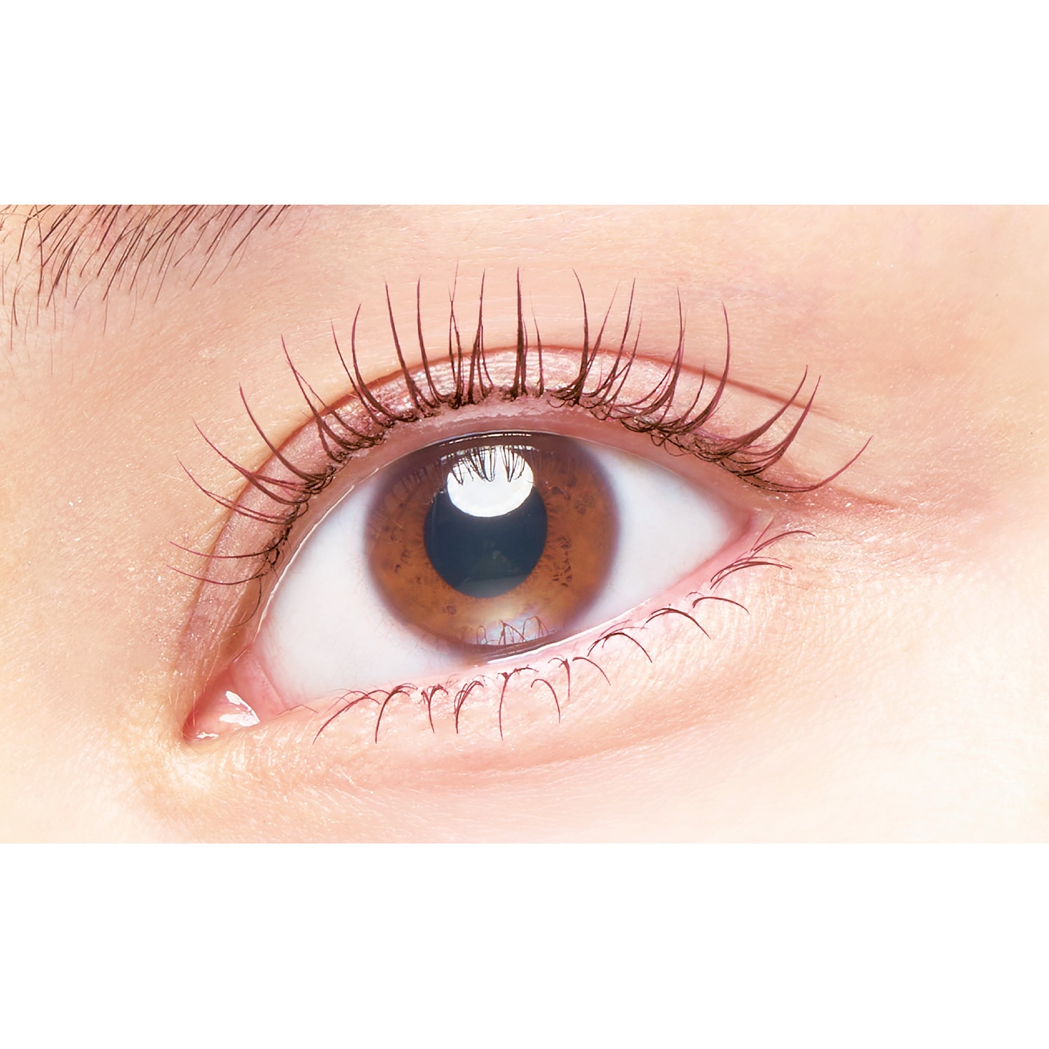 PARISBROW ピンクブラウンセット パーフェクトエクステンションマスカラ for カール ピンクブラウン｜D