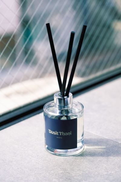 ǥ奷˵ ꡼ɥǥե塼