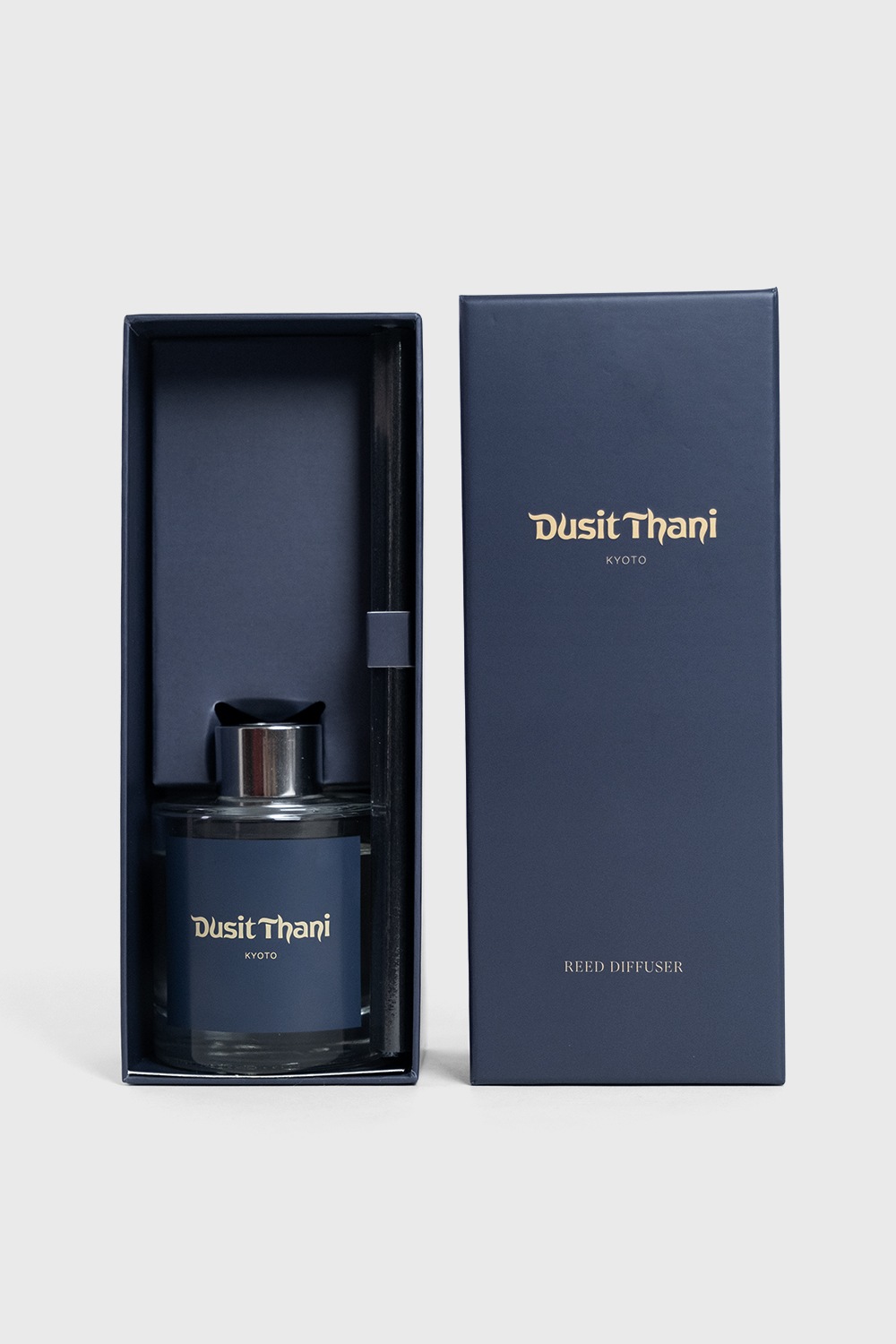 ǥ奷˵ ꡼ɥǥե塼