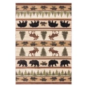 ���ɥ顼�١������롼�ॵ������