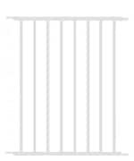 �ɲå����ȡʥۥ磻�ȡ�