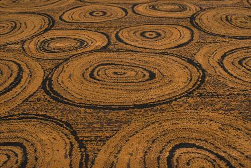 �ƥ���С����å��㥹����å�����