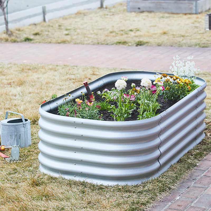 Vitavia ǥ٥å  쥤ɥ٥å Vitavia