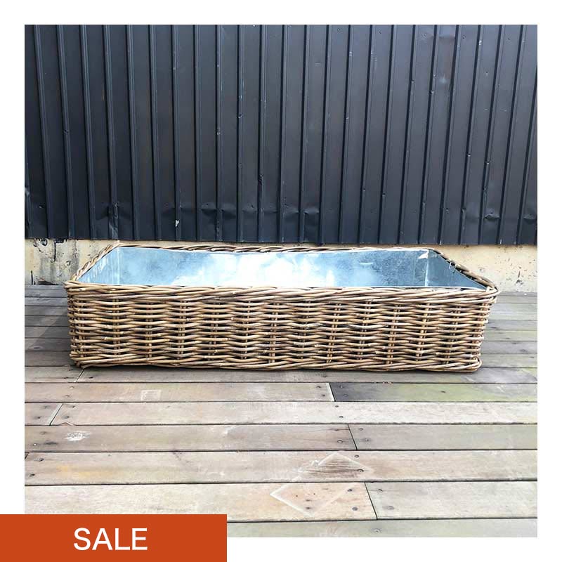 �饿�� �ץ�󥿡���110 x 56cm