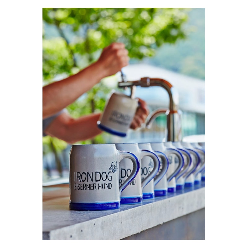 ɥ ӥޥ _ IRON DOG ꥸʥ