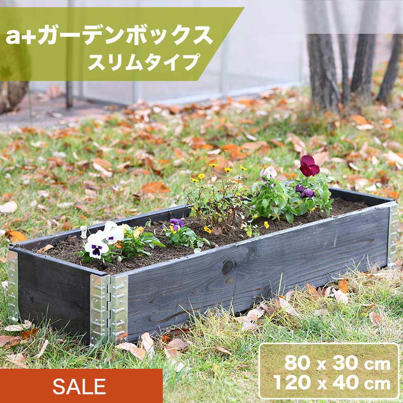 �ں����١ۥ����ǥ�ܥå���������ॿ���� �å쥤���ɥ٥å�/�����ץ�󥿡� ��a+�ǥ������