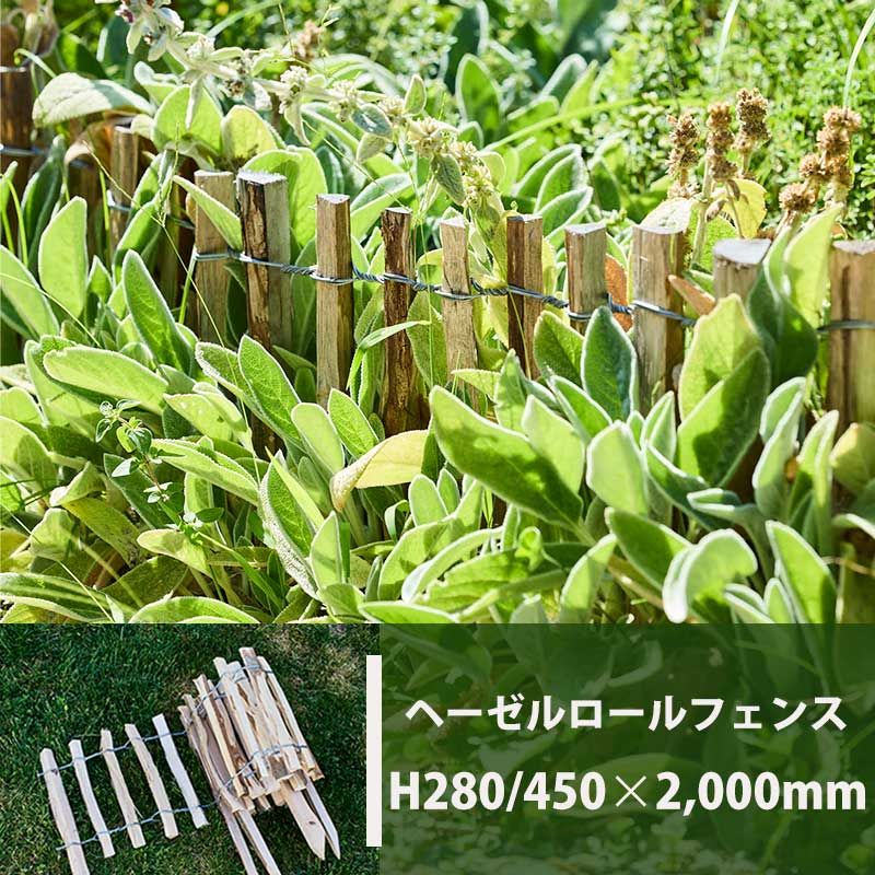 ءʥåĤե H28cmWIKTRANS