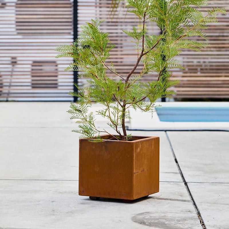 ץ󥿡 L300a+ designۡåѥƥʥץ󥿡 