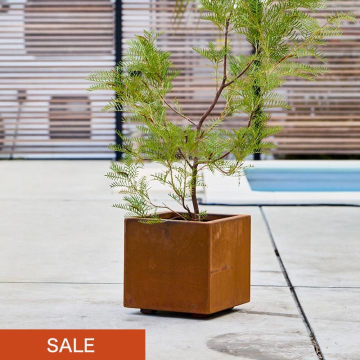 ���������ץ�󥿡� L300��a+ design�ۡåѥƥ��ʥץ�󥿡� 