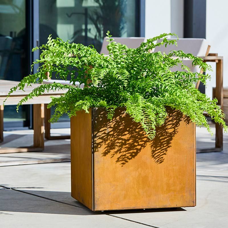 ץ󥿡 L500a+ designۡåѥƥʥץ󥿡