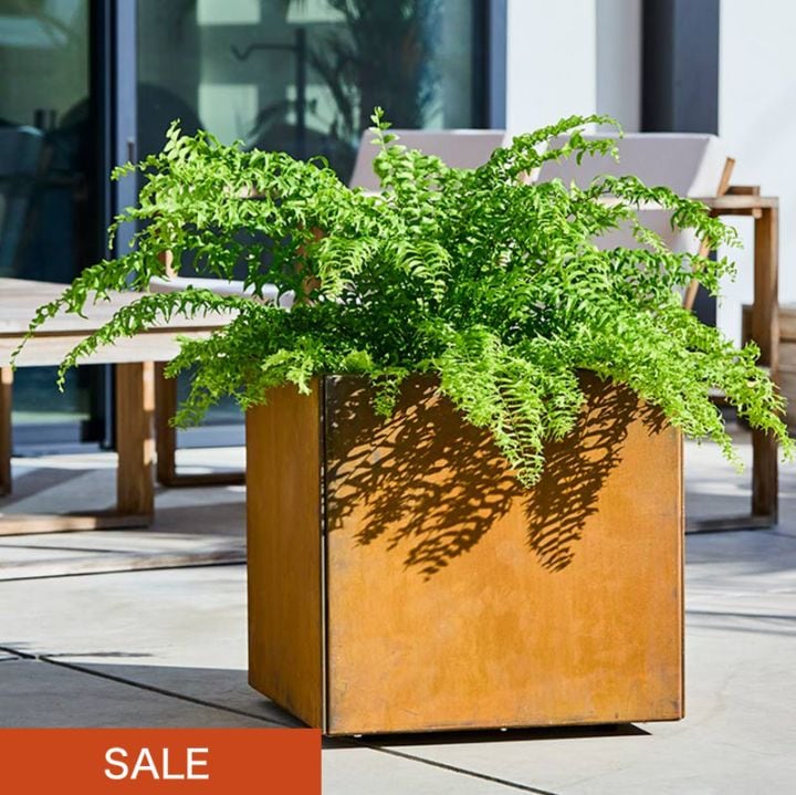 ���������ץ�󥿡� L500��a+ design�ۡåѥƥ��ʥץ�󥿡�