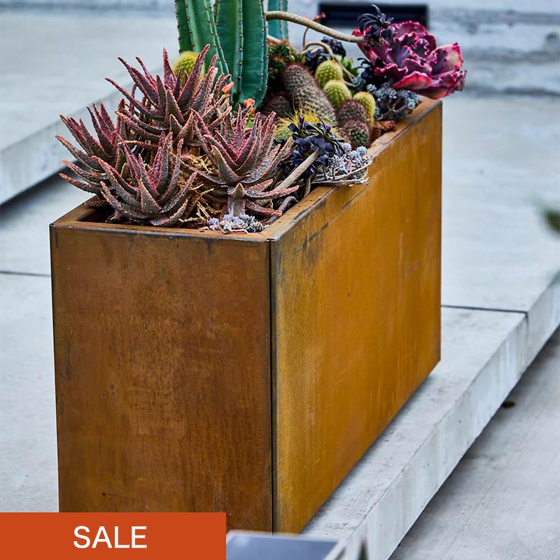 �ں����١ۥ쥯���󥰥�ץ�󥿡� L900��a+ design�ۡåѥƥ��ʥץ�󥿡� 