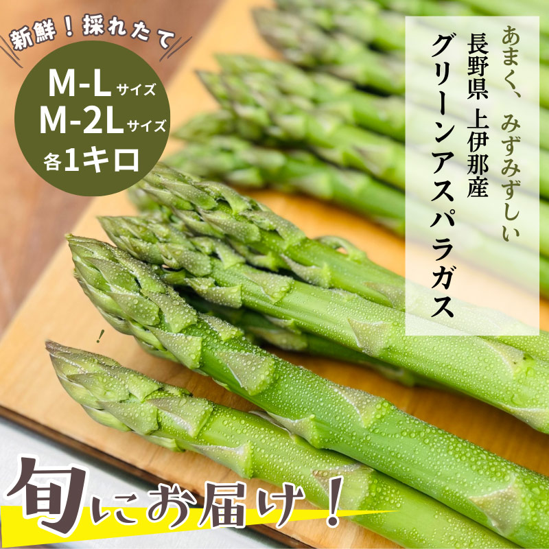 Ĺ�����Ỻ ���꡼�󥢥��ѥ饬�� 1kg  M-2L ������ ��Ĺ�����Ỻ