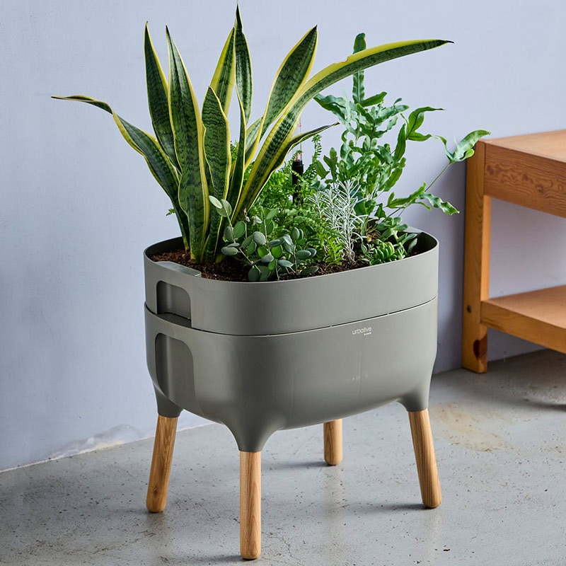 plastia ���եץ�󥿡� S ���硼�� �饤�ȥ��졼/�饤�ȥ��꡼�� �� �ץ饹�ƥ��� ��plastia�ۼ�ư���ץ�󥿡�