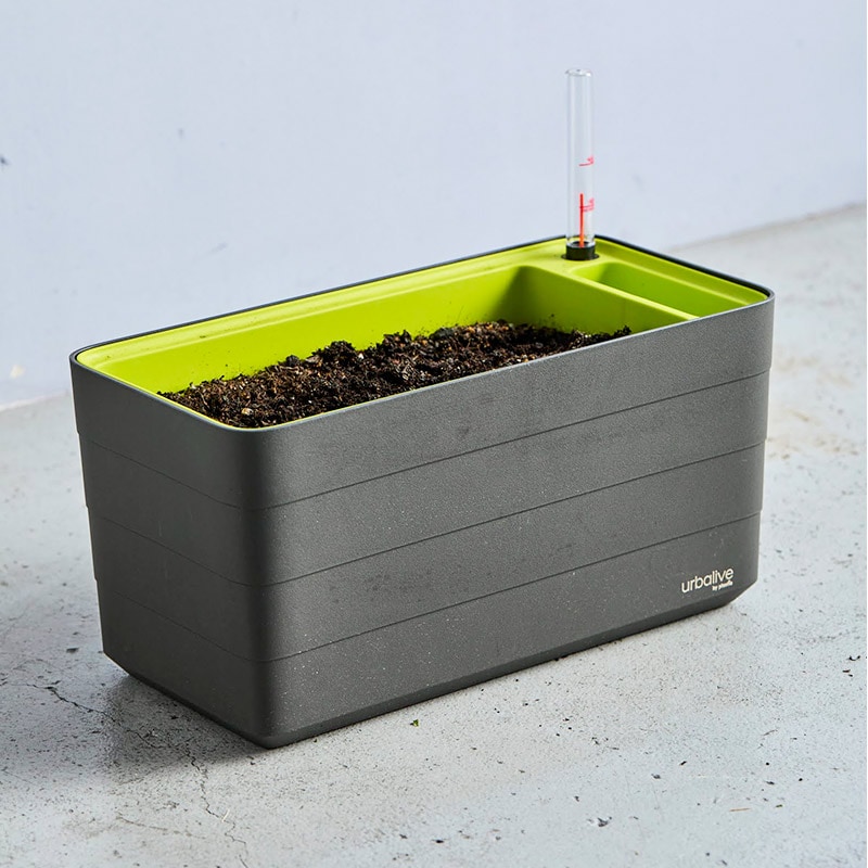 plastia ��ư��弰�ץ�󥿡� W400  /���졼���ȡ��� �� �ץ饹�ƥ��� ��plastia��