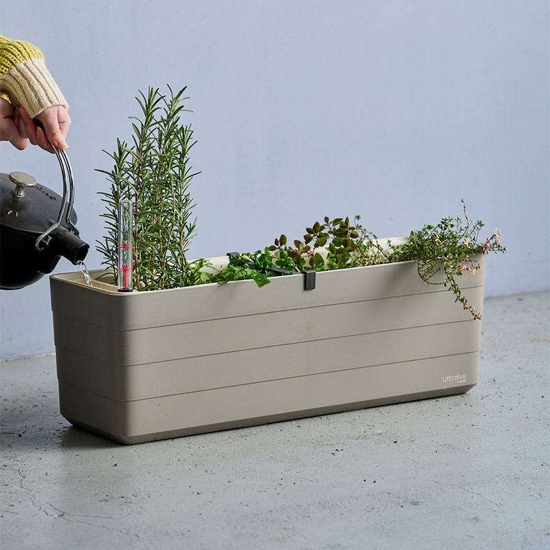 plastia ��ư��弰�ץ�󥿡� W600  /���졼���ȡ��� �� �ץ饹�ƥ��� ��plastia��