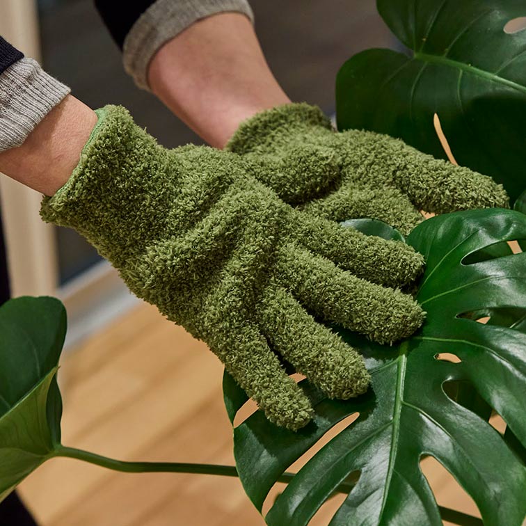 �ץ��ȥ����ȥ������֡�ESSCHERT�ۥ��å��㡼��