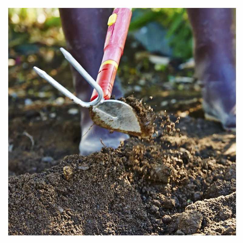 ֥뤯iM-MWOLF Garten