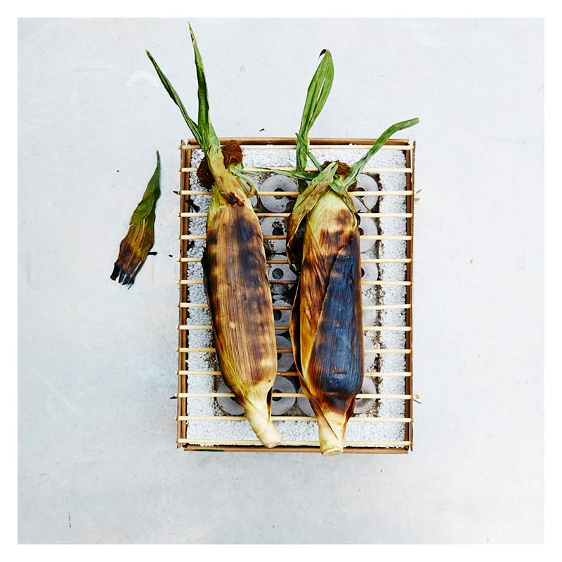 եȥCASUSGRILL _ ݡ֥ BBQ