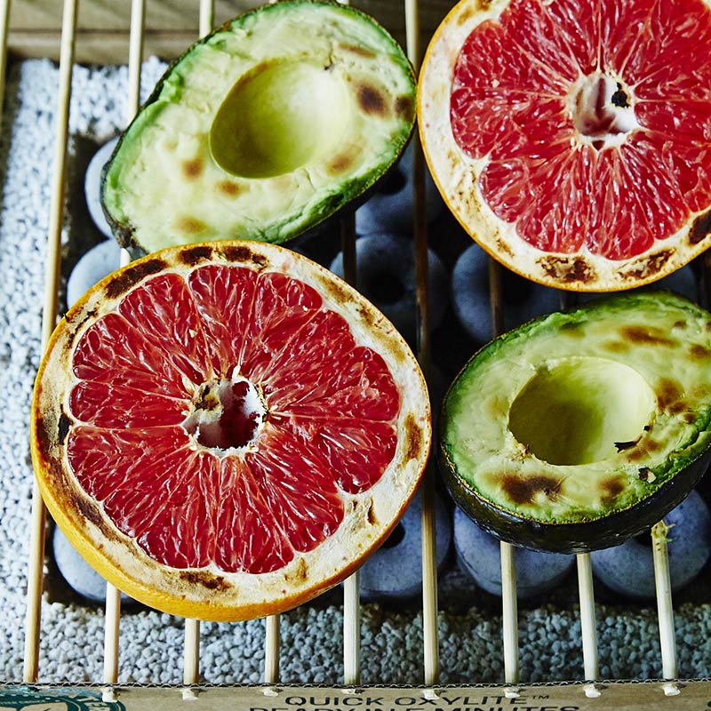 եȥCASUSGRILL _ ݡ֥ BBQ