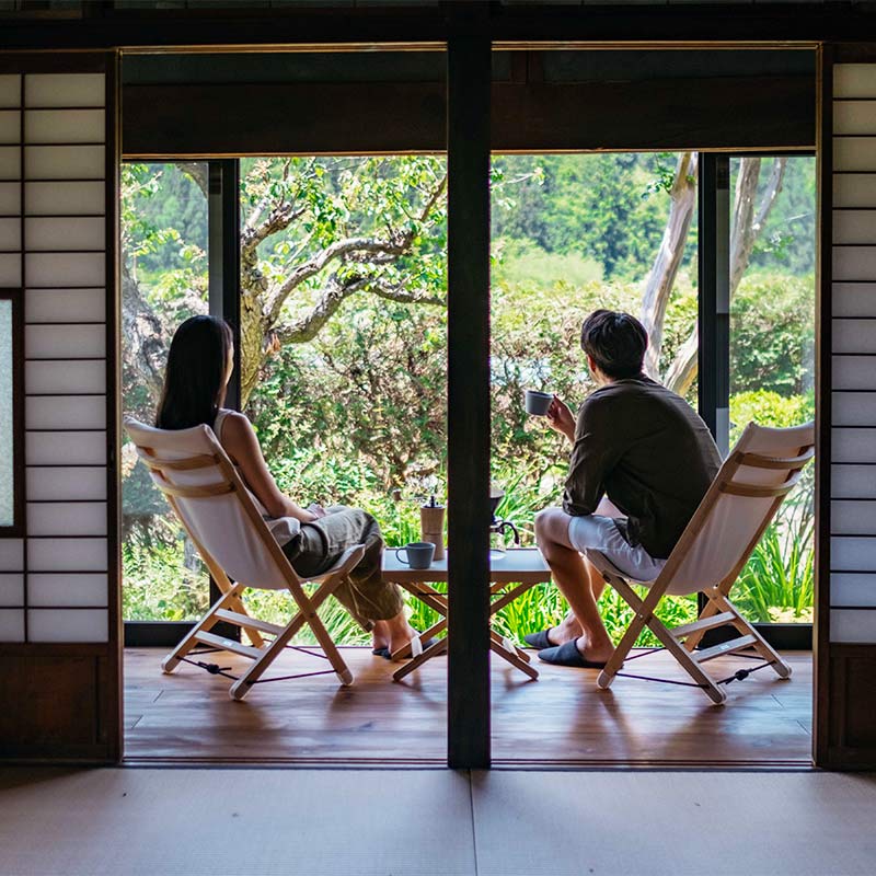 Chairޤꤿߥ pioneer plants